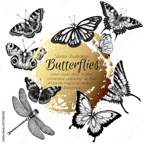 Vector frame insects. Monarch butterfly, hive butterfly, peacock butterfly, butterfly swallowtail, pieridae, butterflies admiral, podalirius, papilio, dragonfly in engraving style