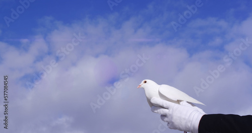 Image of light spots and clouds over pigeon in hands