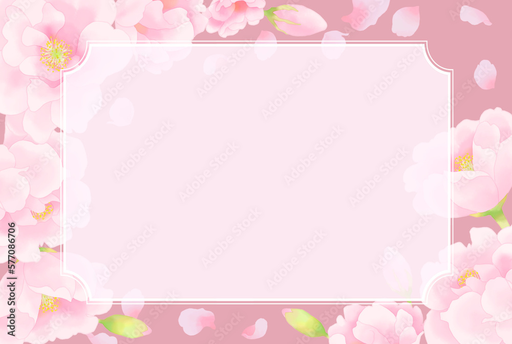 単色背景と春の花フレーム（八重桜）