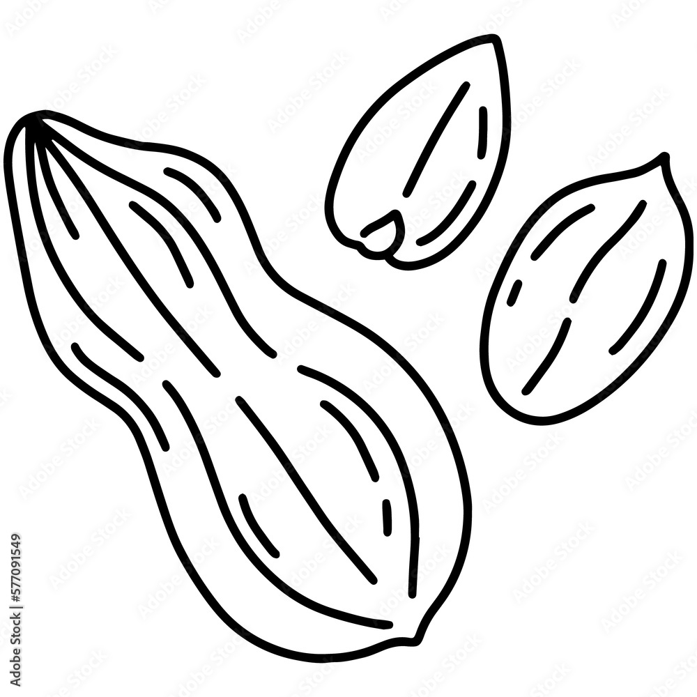 Obraz premium Peanuts simple linear cartoon icon in doodle style