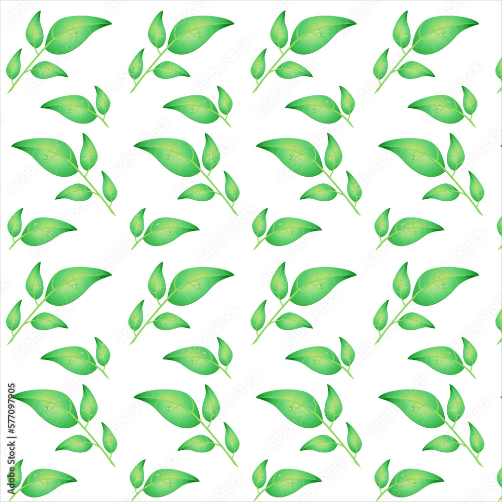 Patern of realistic green leaves isolated on white background with drops of dew. Vector floral Illustration Patern of realistic green leaves isolated on white background with drops of dew. Vector floral Illustration