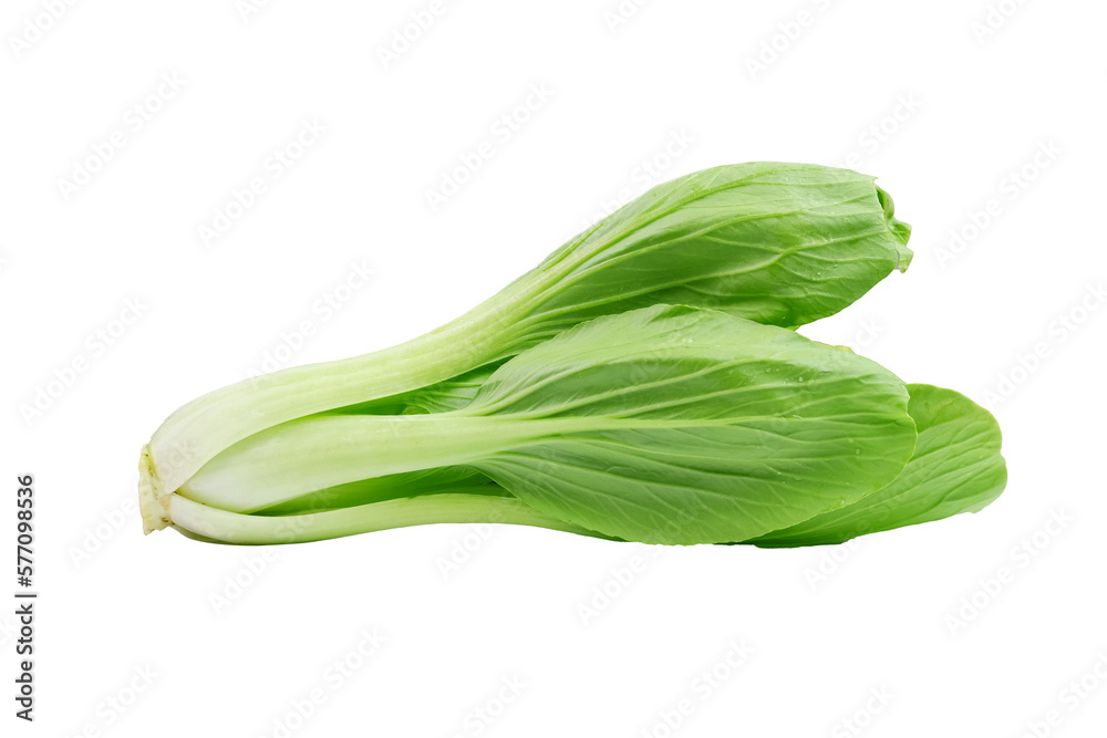 Fresh bok choy vegetable (Chinese cabbage) isolated on white background. Macro shoot - obrazy, fototapety, plakaty 