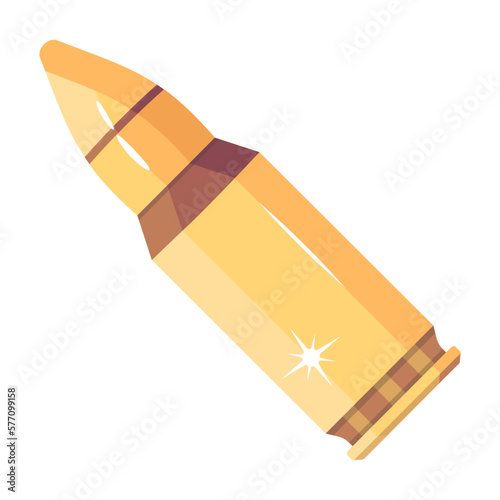 Rifle Bullet 
