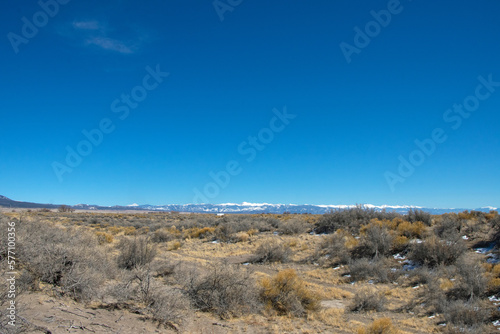 Colorado Desert Landscape