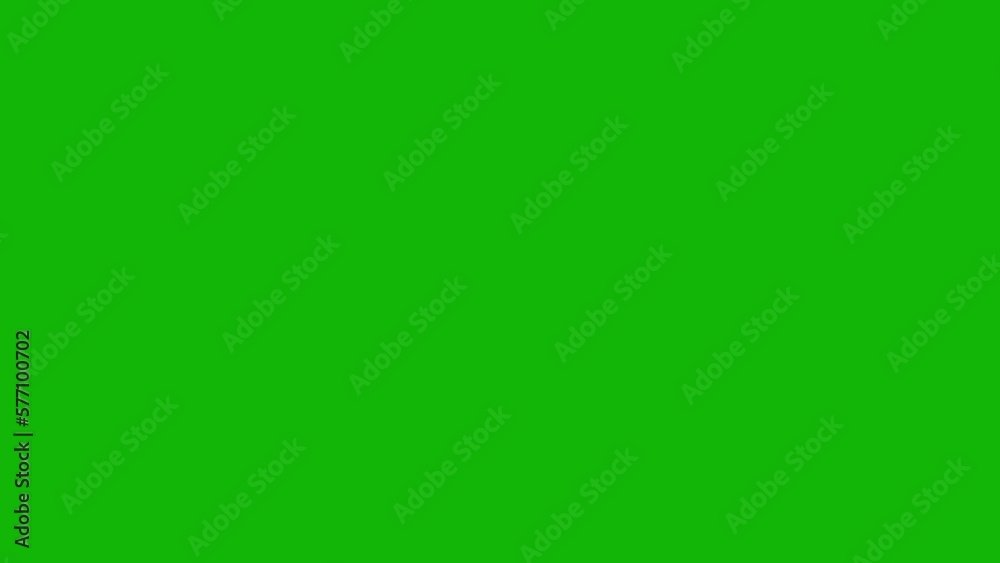 Lots of photo camera flashes. Camera flashes effect on green screen chromakey Lots of photo camera flashes. Camera flashes effect on green screen chromakey