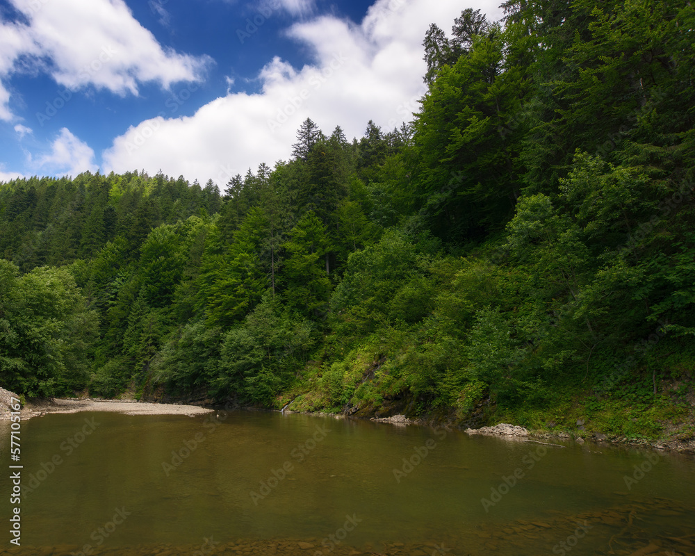 nature landscape with shallow river. trees on the shore nature landscape with shallow river. trees on the shore