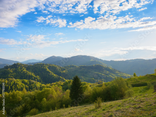 carpathian rural landscape in spring. trees on the grassy hills rolling in to the distant valley. wonderful scenery in warm evening light. fluffy clouds on the blue sky