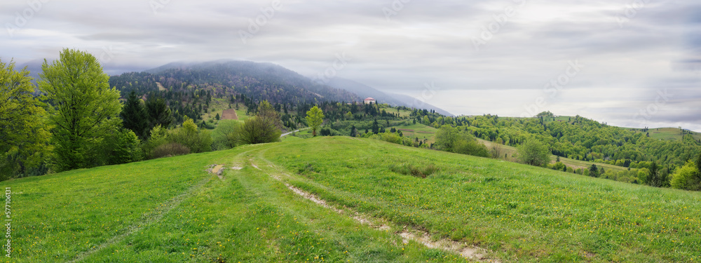 cloudy green mountain landscape in spring. trees on the grassy hills