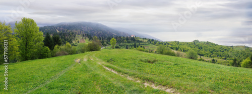 cloudy green mountain landscape in spring. trees on the grassy hills