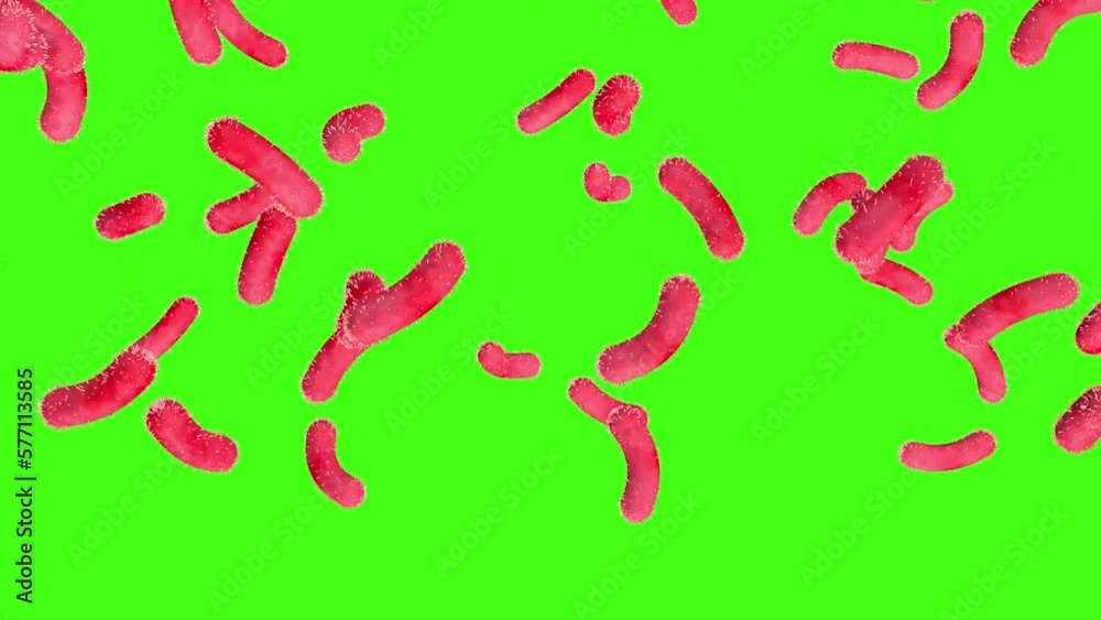 Bacteria rain down on a green screen. 3D animation. Scientific concept. Bacteria rain down on a green screen. 3D animation. Scientific concept.