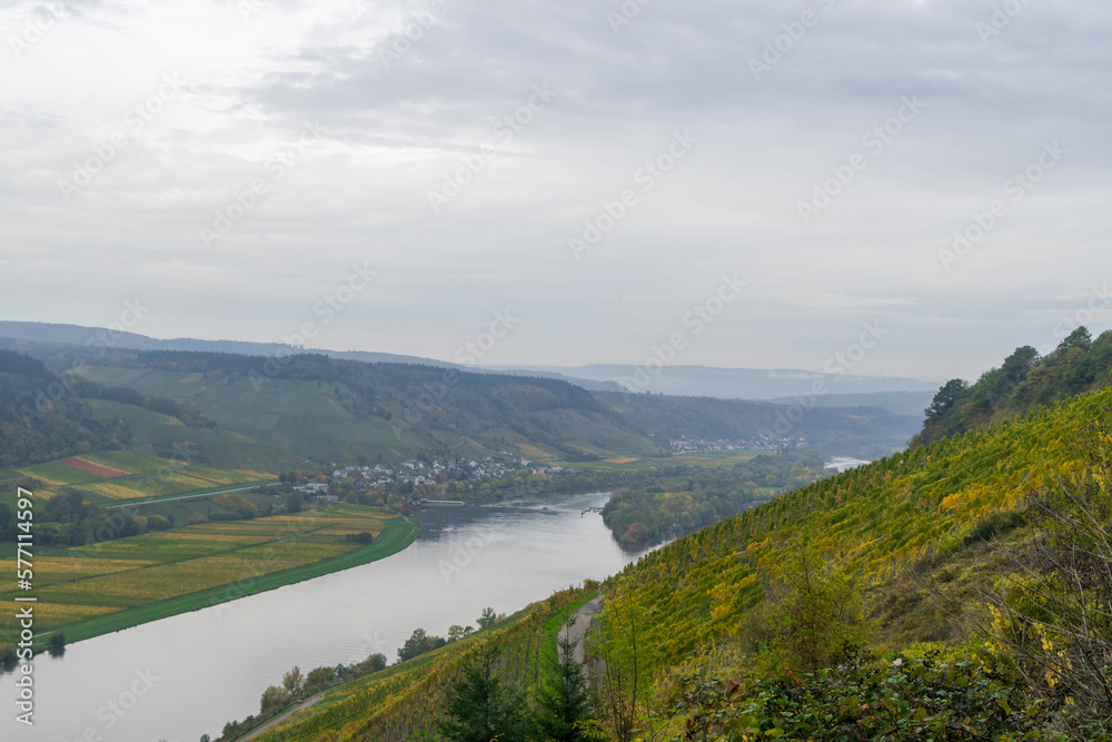 Landscape view over the river Moselle
