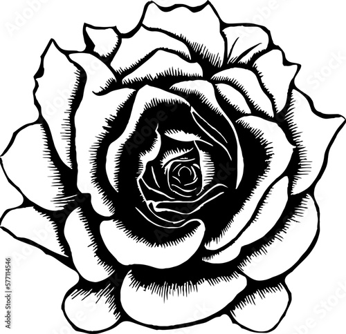 Rose black colors, tattoo style, vector.