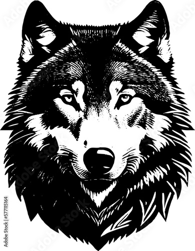Photographie Wolf, vector.