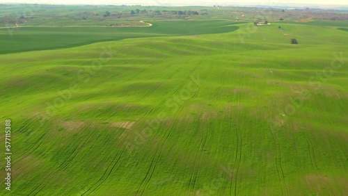 Bitronot Ruhama reserve, Israel, spring blossom at the Negev Desert, 4k aerial drone view
