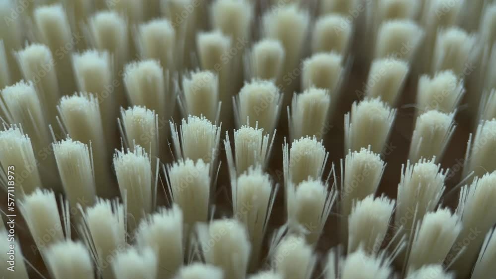 Macro Needles Brushes Slider Shot Macro Needles Brushes Slider Shot