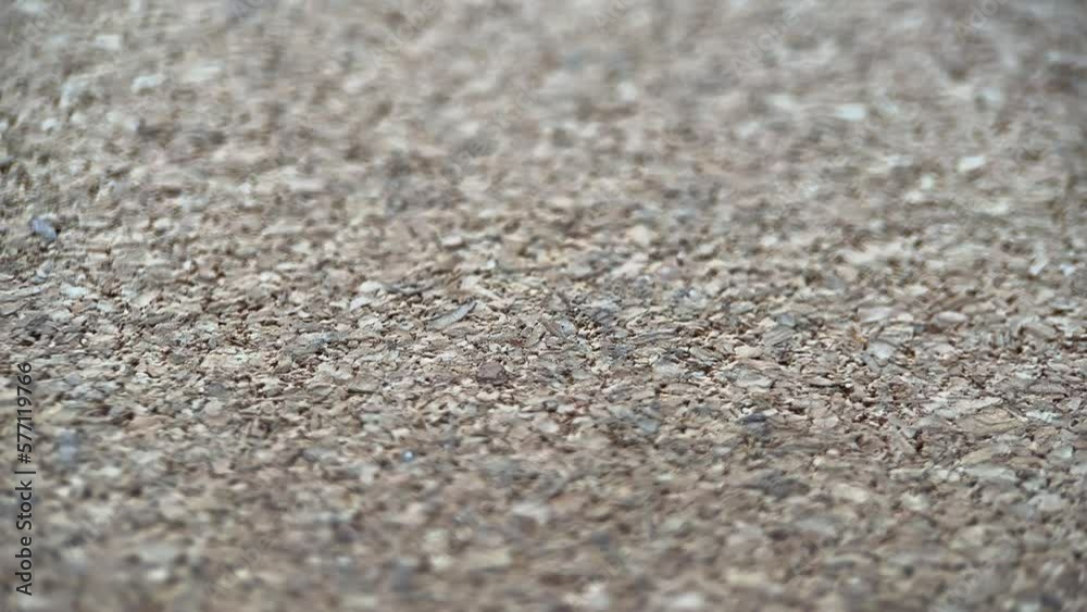 Pressed Wood Sawdust Background Slider Shot Pressed Wood Sawdust Background Slider Shot