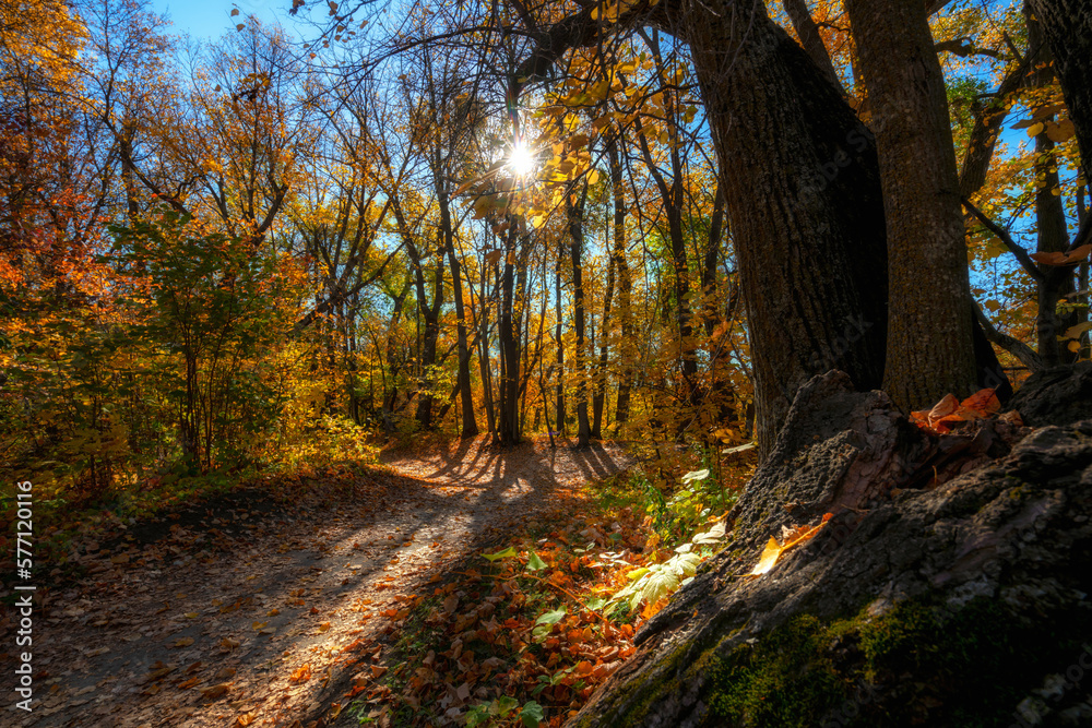 A perfect fall day for a walk