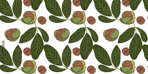 Seamless pattern with walnuts and green leaves. Vector illustration
