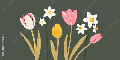 Spring flowers banner. Daffodils, tulips bouquet illustration on green background