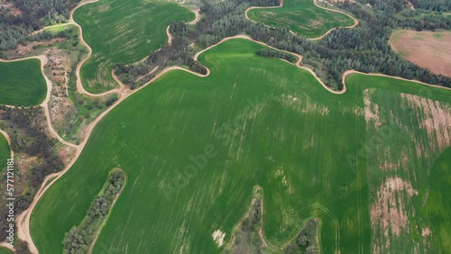 Bitronot Ruhama reserve, Israel, spring blossom at the Negev Desert, 4k aerial drone view photo