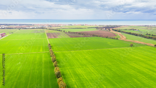 Aerial view of cultivated and green fields. In the background the sea.