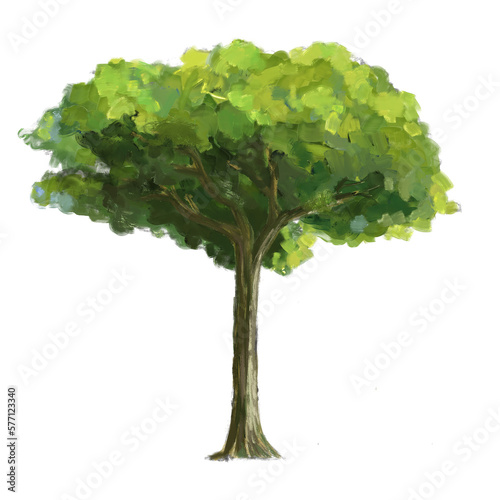Tree with an isolated background. Green tree oil digital paint.
