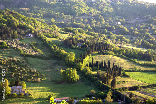 Valokuvatapetti hillside with tree borders in Orvieto Umbria Italy