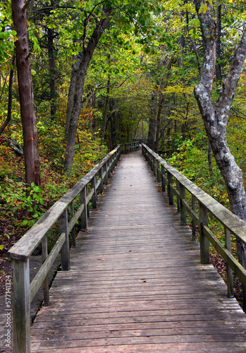 Blanchard Springs Woooden Walkway