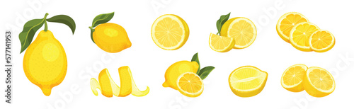 Bright Lemon with Yellow Skin and Green Leaf Vector Set