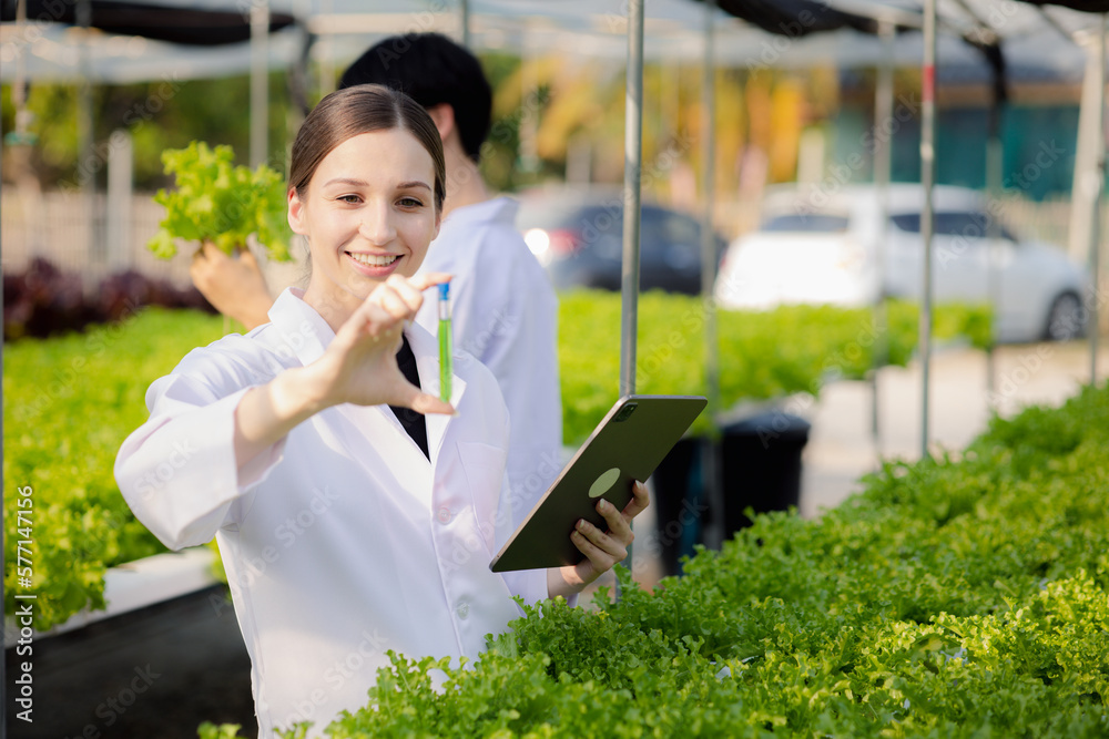 Researchers in hydroponic vegetable gardens are collecting samples to test vegetables grown from research water and examining the water used for growing hydroponic vegetables on the farm.