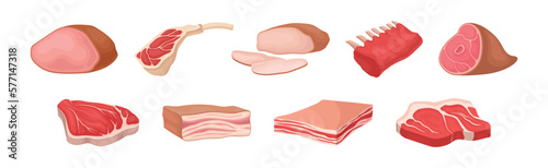 Different Meat Product with Beef, Lard and Chicken Cuts Vector Set