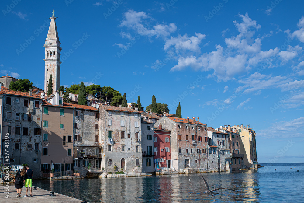houses and bell tower in port rovinj