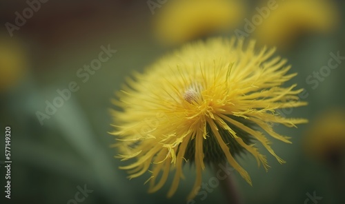  a close up of a dandelion flower with a blurry background of the flower head and leaves in the foreground  with a blurry background of the dandelion.  generative ai