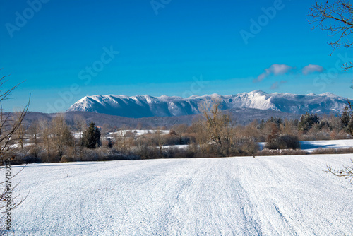 winter landscape with the Nanos plateau in the background covered with snow © Peter