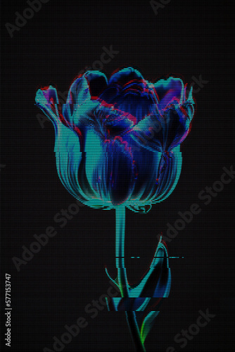 Glitched glowing neon tulip. Abstract glitch background. Cyberpunk wallpaper in a style of 80's. Futuristic concept. EPS 10. Creative graphic design for poster, brochure, flyer and card.