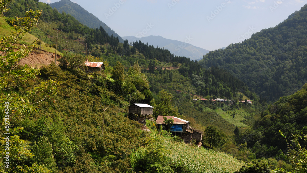 Camili - Artvin - TURKEY Camili - Artvin - TURKEY