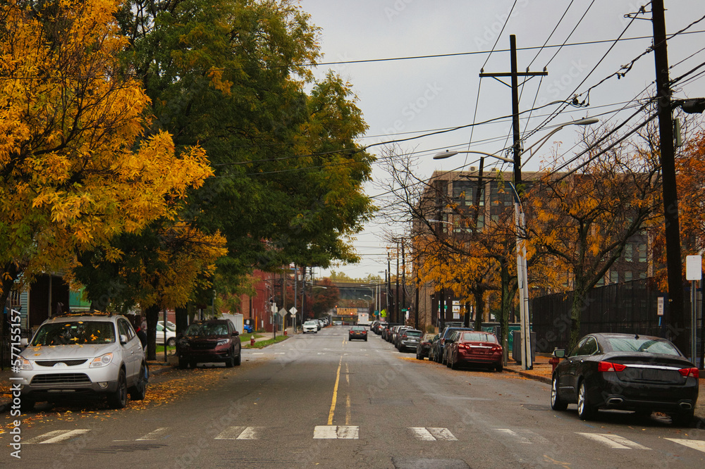 city street in Autumn