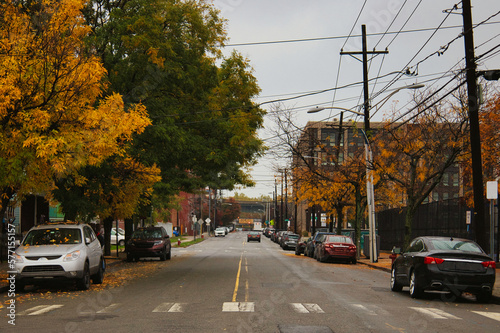 city street in Autumn