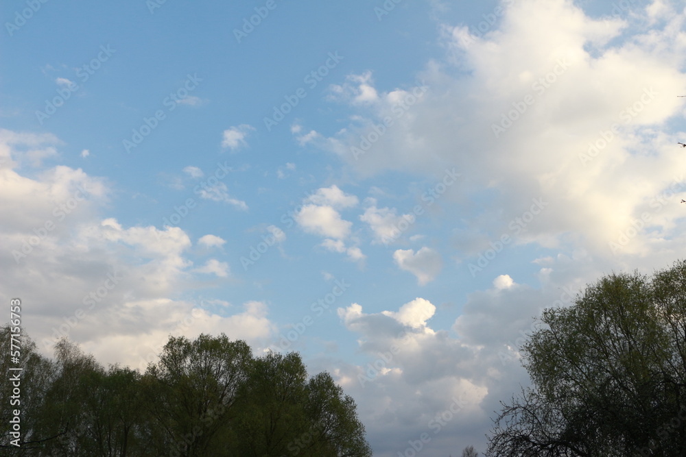 Blue sky with white clouds. The green crowns of the trees are out of focus. Selective focus. Background. Copy space Blue sky with white clouds. The green crowns of the trees are out of focus. Selective focus. Background. Copy space