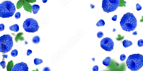 Falling blue raspberries and green leaves on a white background. copy space background