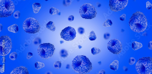 Falling blue raspberries on blue gradient background. Levitating raspberries	