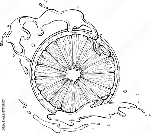 Round orange slice with juice or water splash. Liquid drops. Vector illustration in hand drawn sketch doodle style. Line art ingredient for fresh juice isolated on white. Close up citrus fruit.