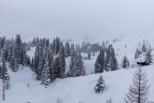 On top of the snow-capped Alpine mountains Dobrač © Vlad