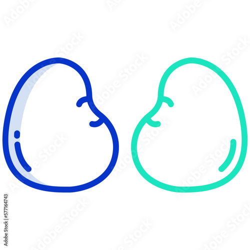 Chicken kidney icon