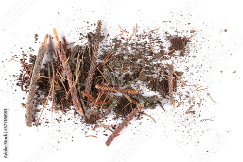 Photographie Pile of soil scattered, twigs of wood, branches and conifer yellow leaves, needl
