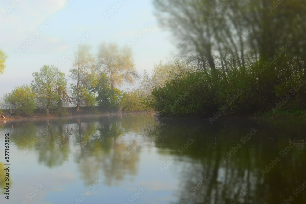 Fototapeta premium reflection in the water