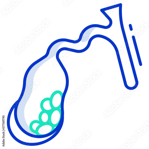 gallbladder disease icon