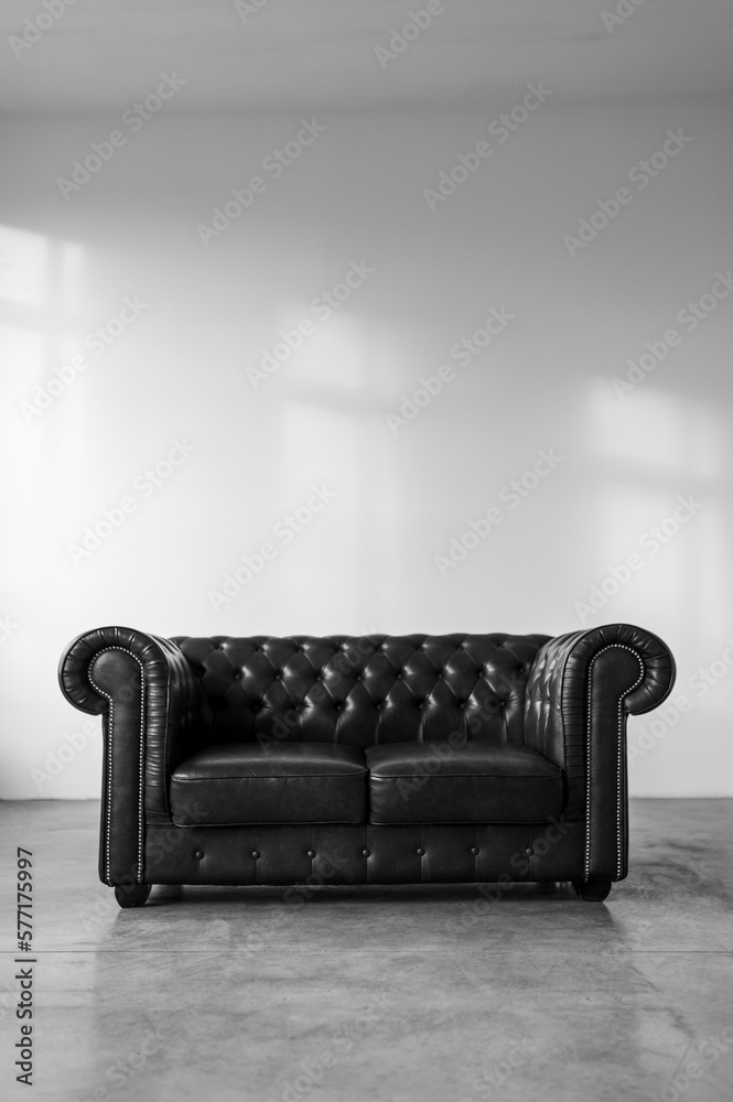 Leather sofa in baroque style against a white wall with sunlight. Shadows on the wall Leather sofa in baroque style against a white wall with sunlight. Shadows on the wall