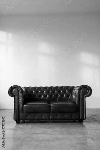 Leather sofa in baroque style against a white wall with sunlight. Shadows on the wall