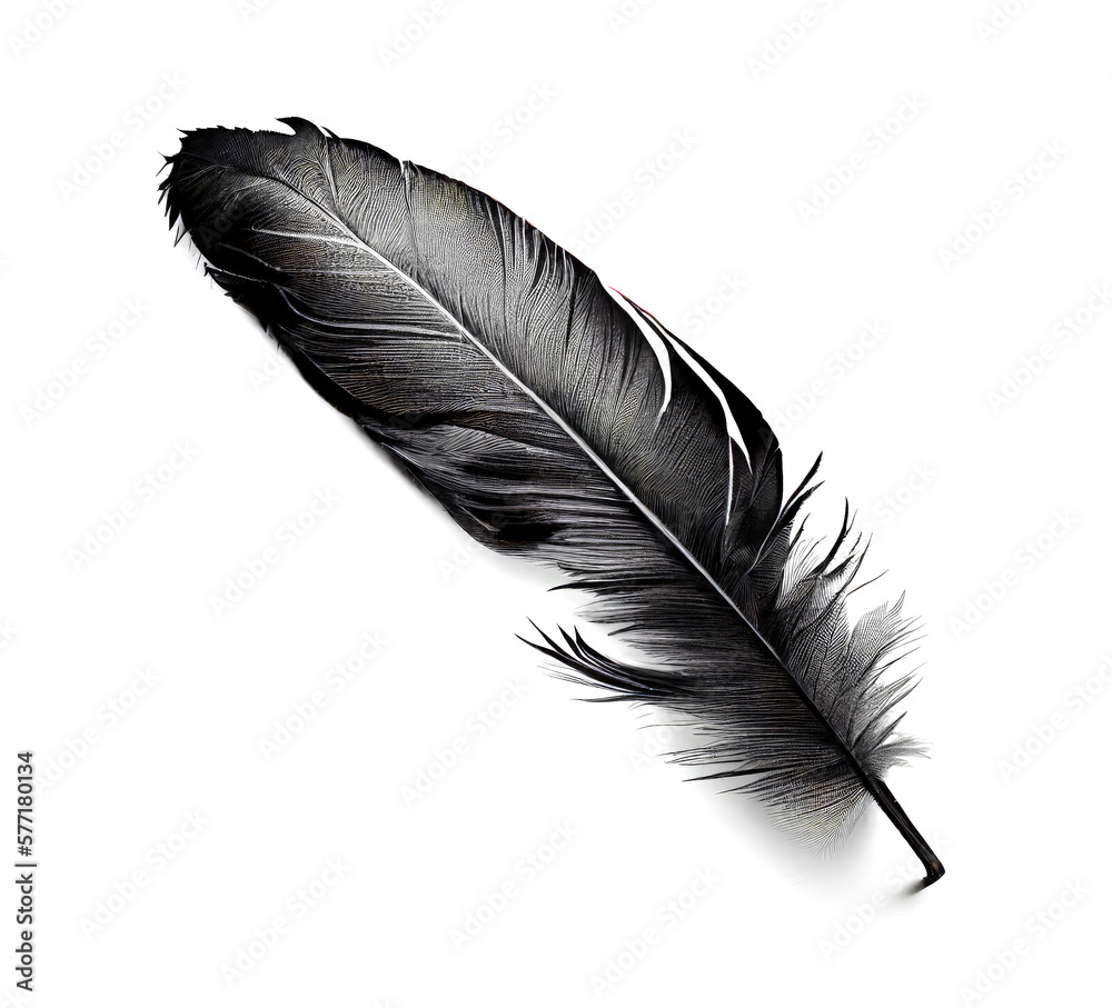 Black Feather Isolated, Swan Plume, Dark Gray Bird Feathers, Abstract Generative AI Illustration Black Feather Isolated, Swan Plume, Dark Gray Bird Feathers, Abstract Generative AI Illustration